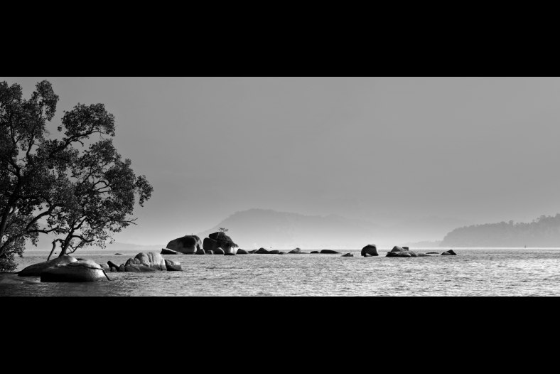 Tropical Mist
